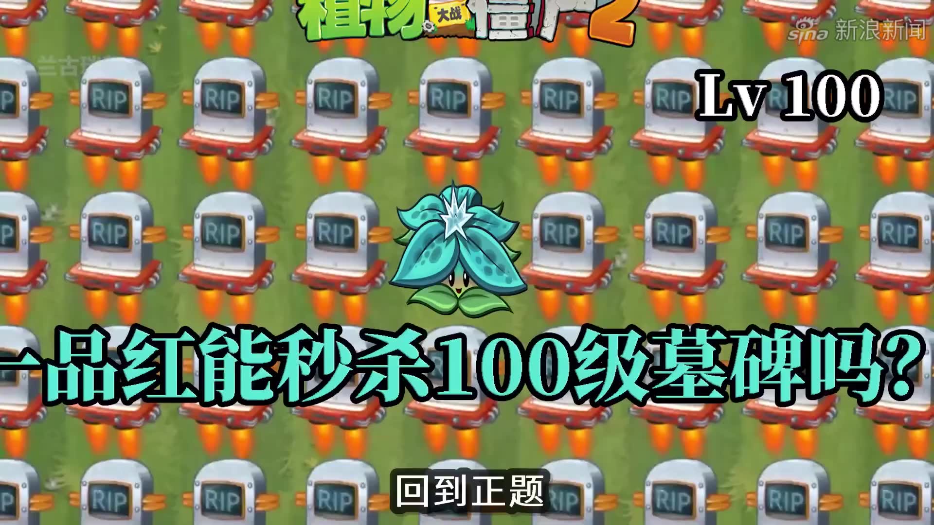 pvz2 论灼热苦橙的攻守道