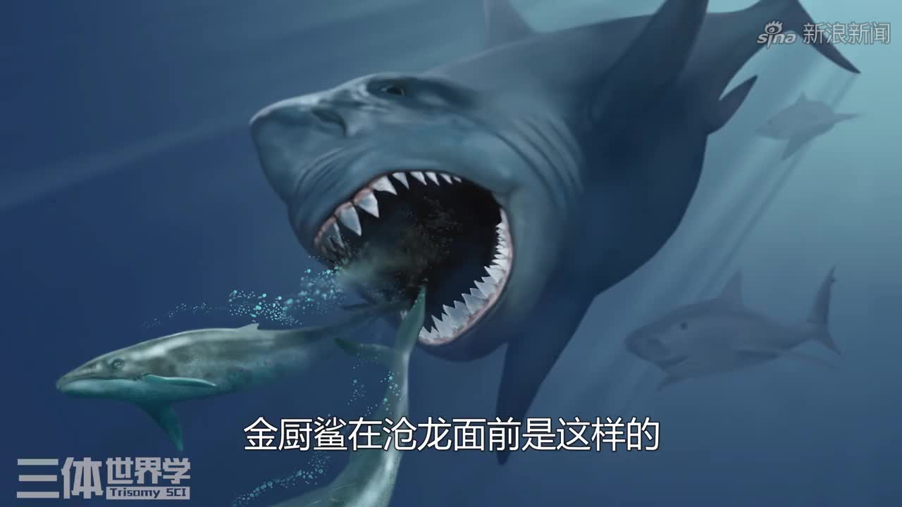 沧龙到底有多强?曾经被恐龙赶出陆地,最终进化为海洋霸主