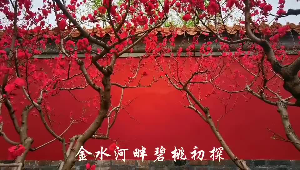 故宫上空现七彩祥云 游客意外拍到"心形太阳"