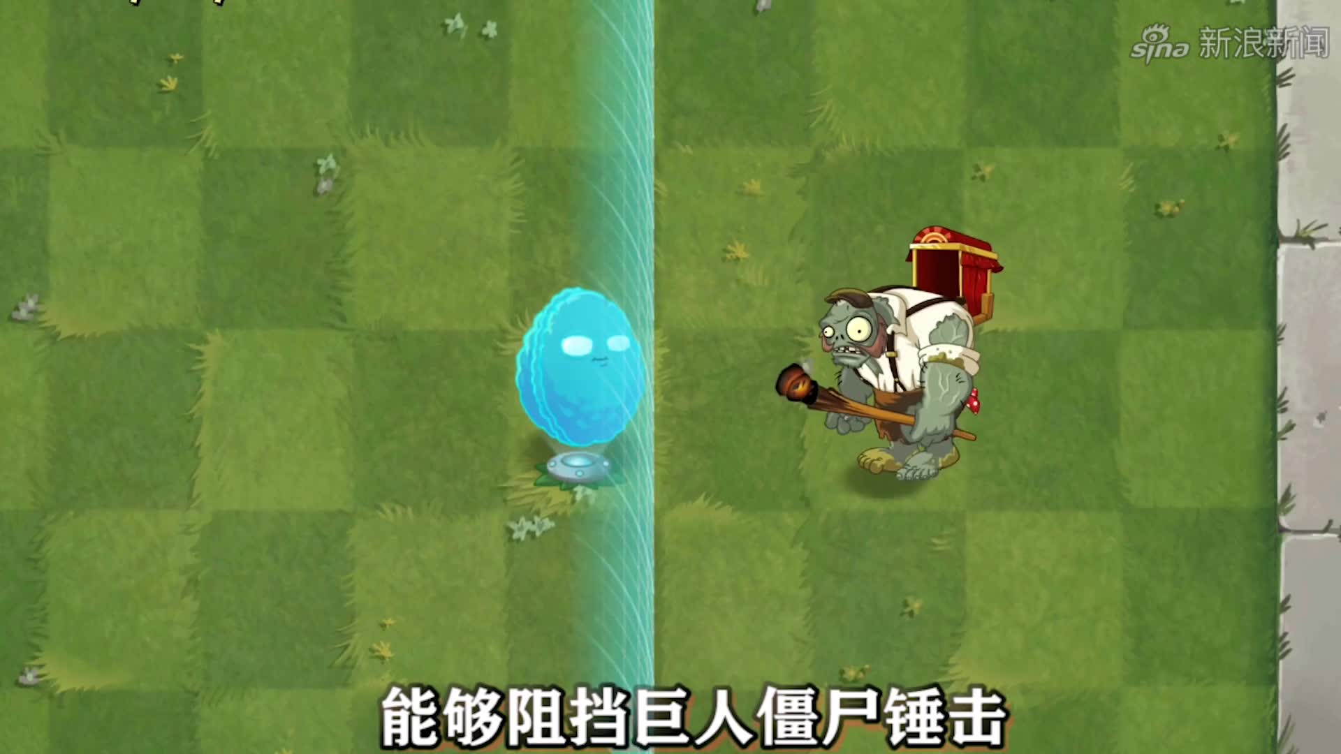 植物大战僵尸2:全息坚果永远滴神!