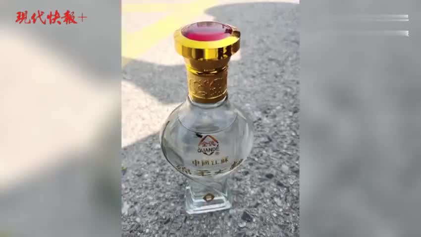 网友买来红星二锅头发现酒里泡了只苍蝇 公司回应:假冒伪劣产品