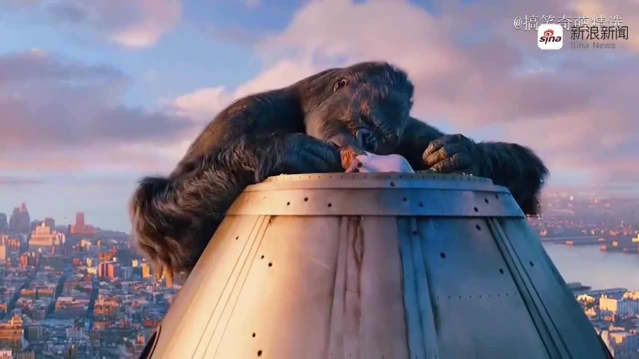 这一段太搞笑,光头佬金刚轮流呼吸,各种耍赖对骂