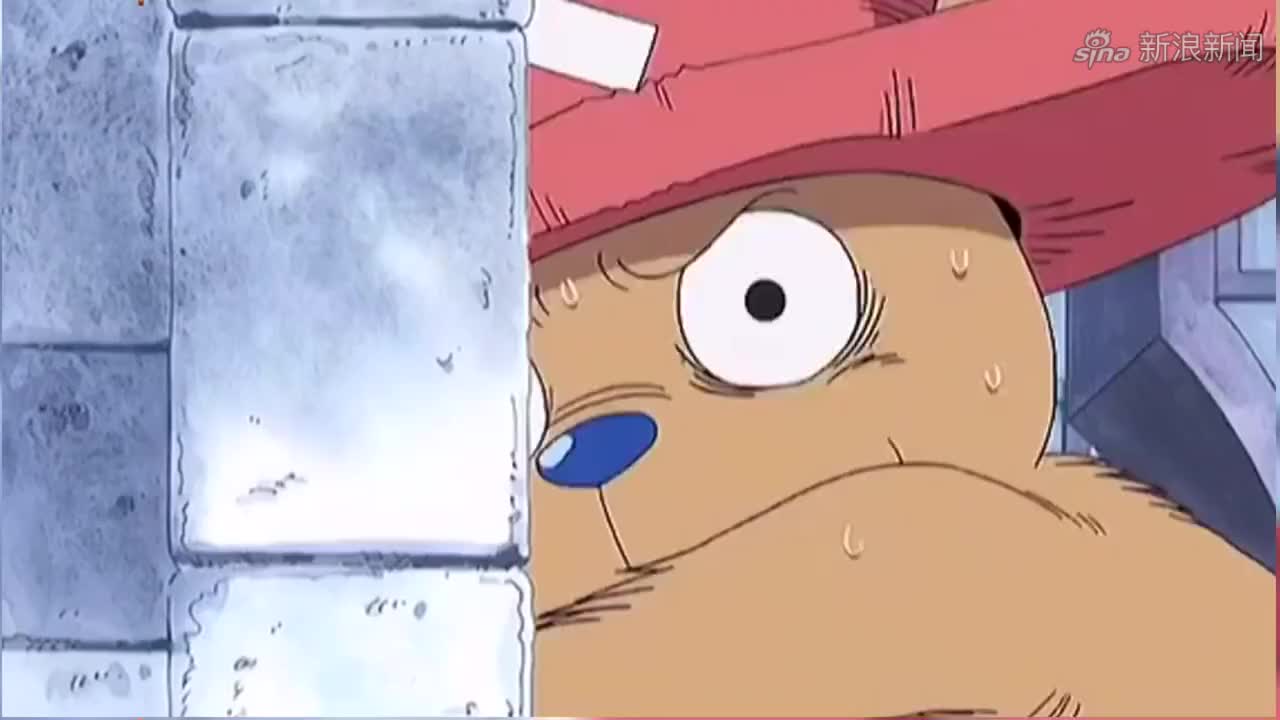 海贼王里的藏身方式乔巴躲墙角都不会还是白星躲鲨鱼厉害