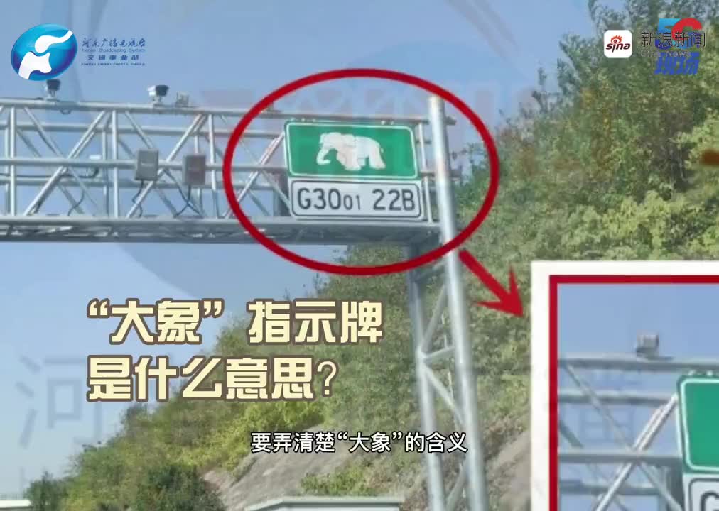 小姜说河南高速上的"大象"指示牌