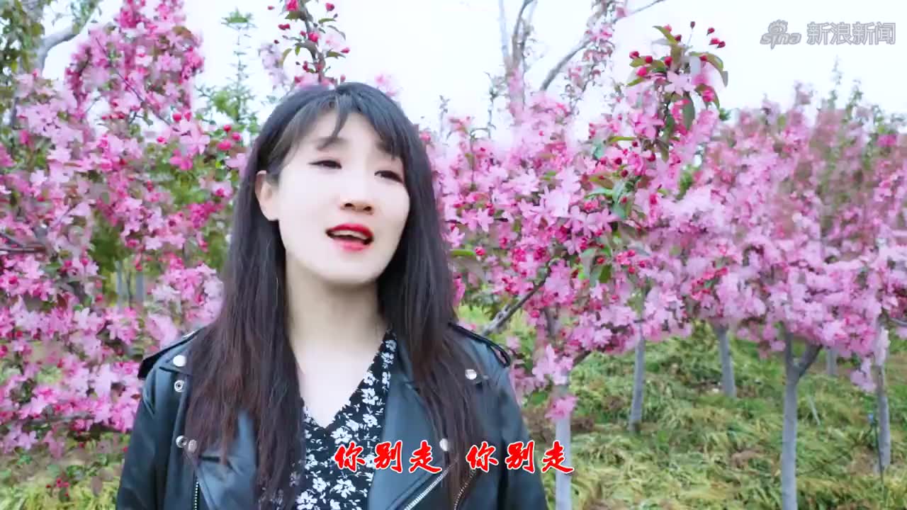 刘巧巧一首《你别走》伤感催泪,旋律优美