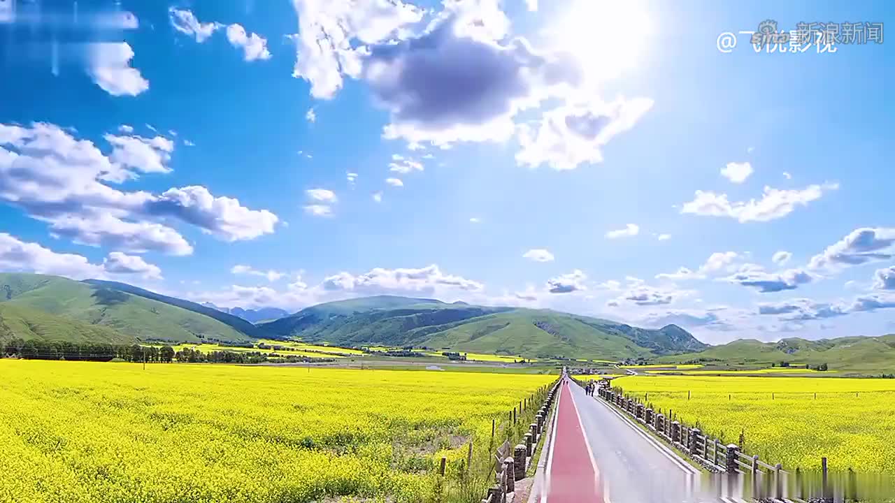 《漫步人生路》这才是群星璀璨的年代,再也看不到同台的画面了