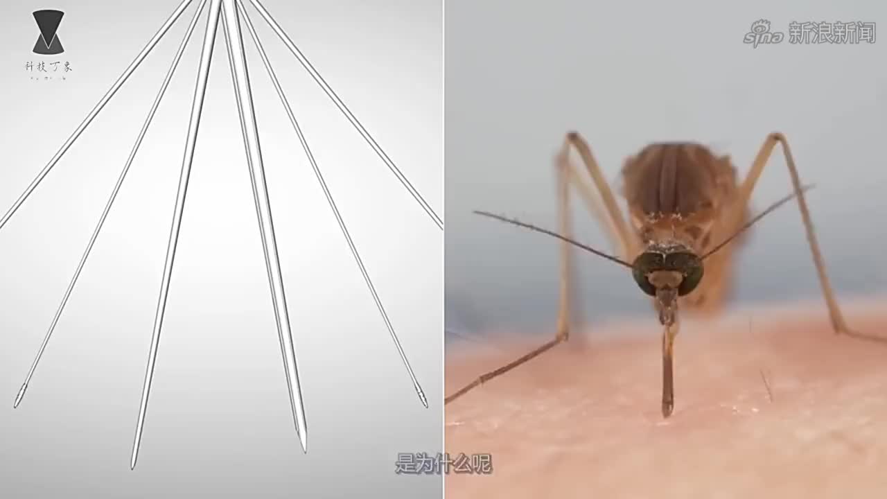 这才叫做大炮轰蚊子,在绝对的武力面前,一切都是浮云