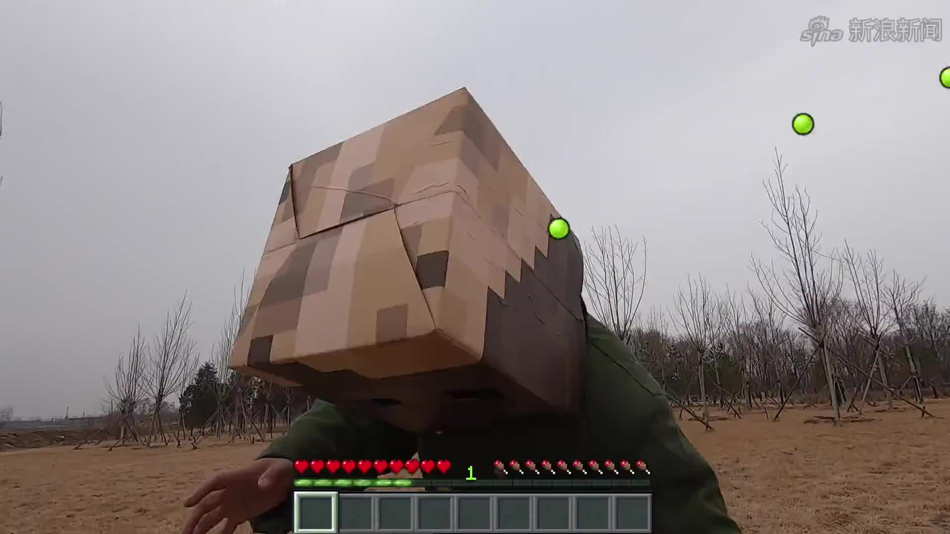 植物大战僵尸陈贝贝指挥失误豌豆下士被坑