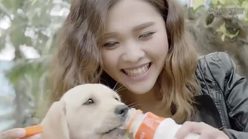 神犬小七2:欧叶为救小七,决心跟罪犯拼个鱼死网破,结果危险了