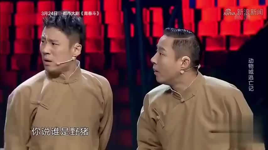 3个耳背的小动物是怎么聊天的?观众们都笑抽