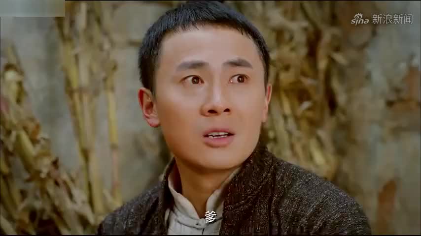 武打电影:百家拳之雄鹰师兄,学师归来替师妹报仇雪恨