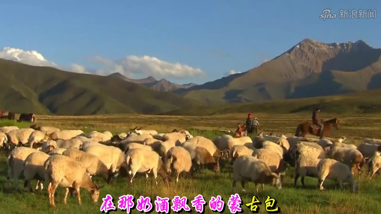 艾丽娅琪琪格《草原醉了我和你》dj版情歌,欢快动听,好听极了