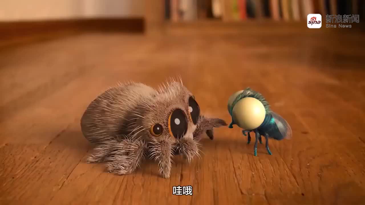 猛男必看!小蜘蛛卢卡斯超萌鬼畜动画又更新了~你被这只小可爱萌