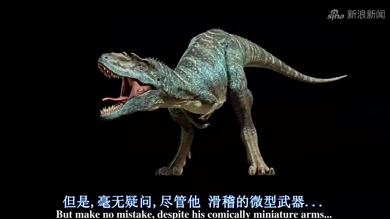 与恐龙同行:解读白垩纪时代,食肉恐龙——翼龙天敌:蛇发女怪龙