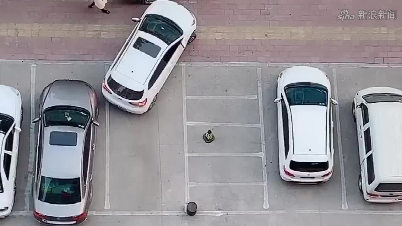 教你如何正确倒车入库,小区停车,真的很受用