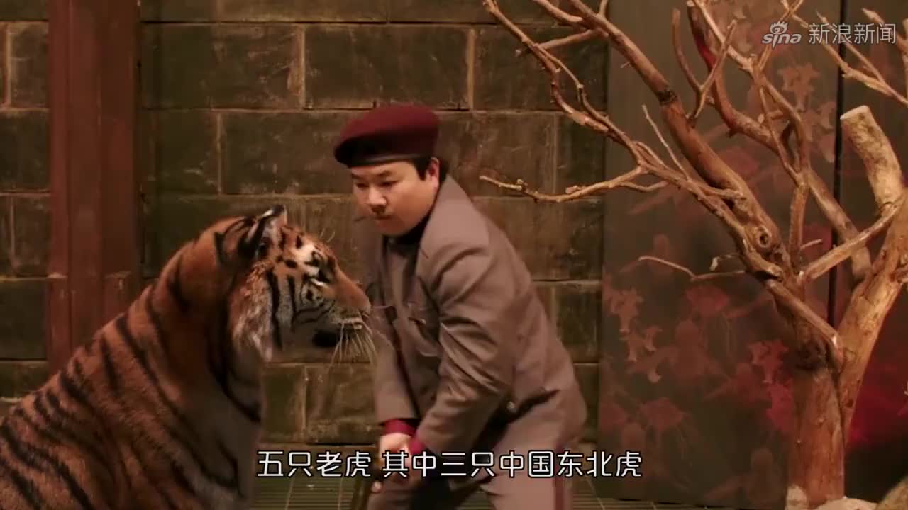 《阳光劫匪》冷知识:老虎真实出镜,小虎文文被导演收为"义女"