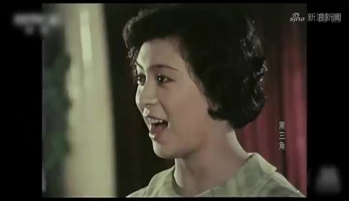 档案:黑三角是龙福海亲自抓的点,可罗成的介入,让龙福海为难了