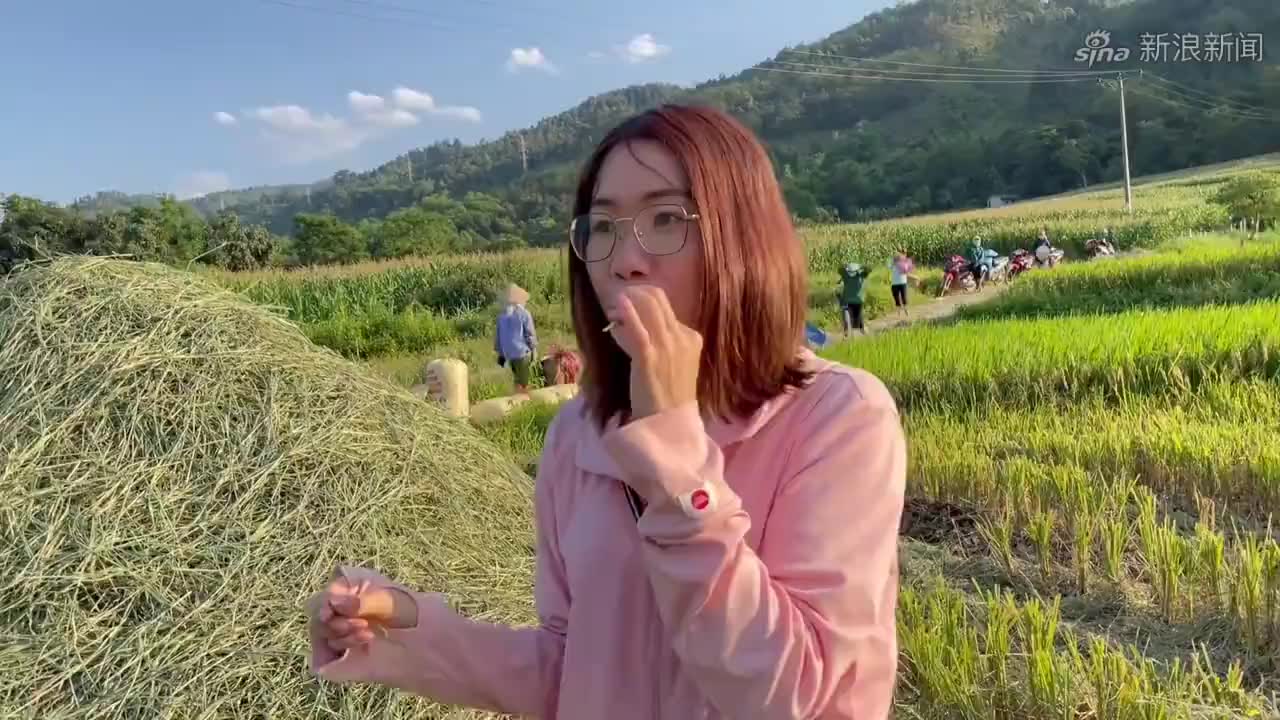 今天越南阿梅下田里玩找回童年的回忆