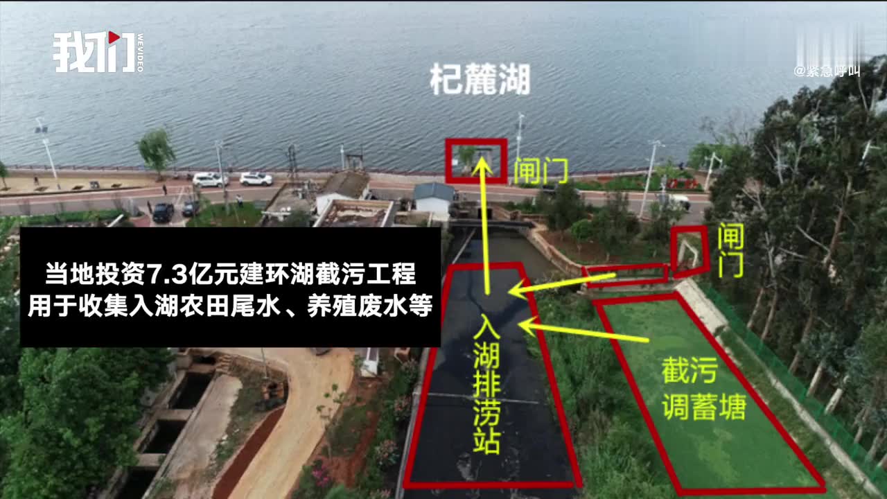 云南杞麓湖污染治理造假:建水质提升站专门输水给监测点