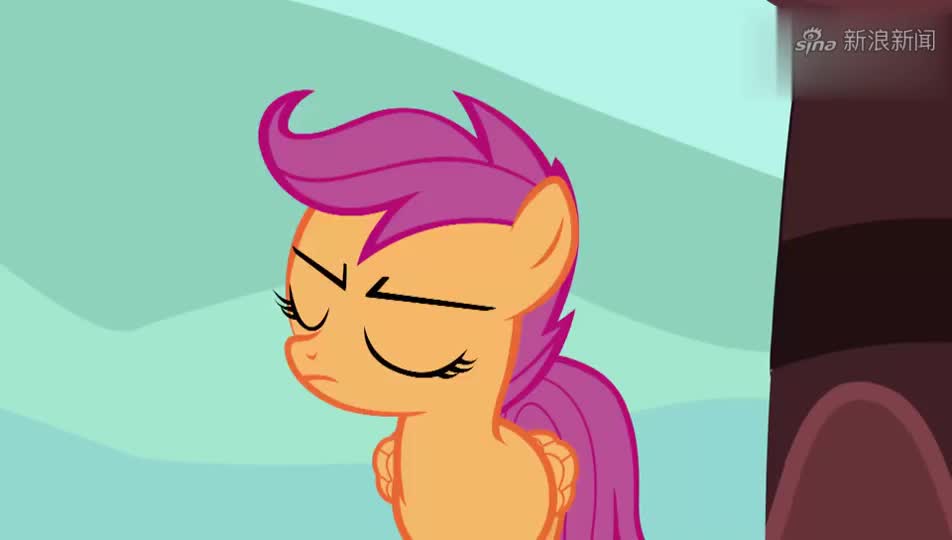 小马宝莉:醒目露露决定行动,吸引云宝的注意,大家决定要去露营