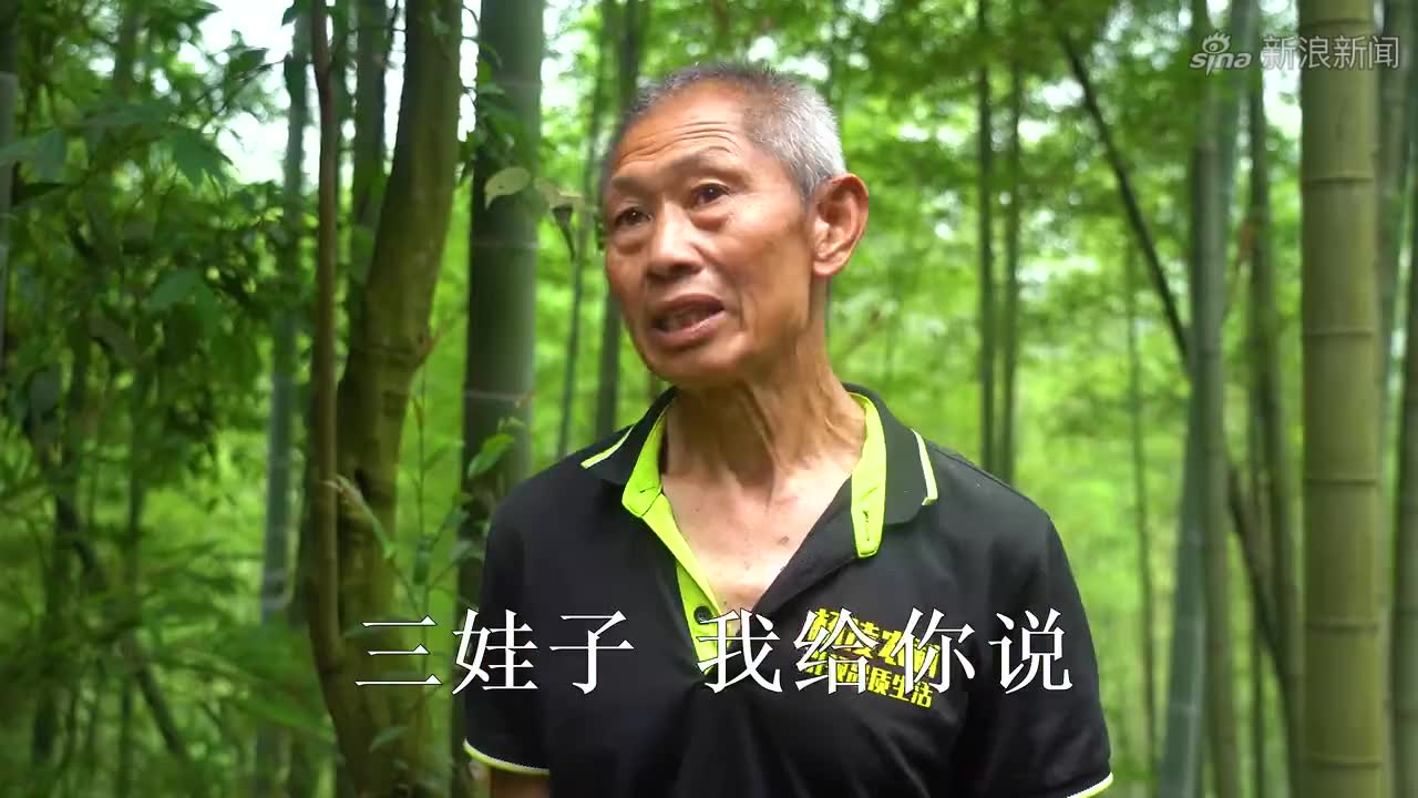 农村王四:四哥家打谷子找徐三娃帮忙,大家干劲十足,半天就干完