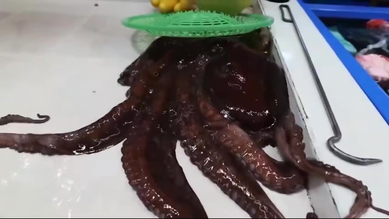 黑暗料理新吃法,1000℃熔岩浇章鱼,你敢吃吗?