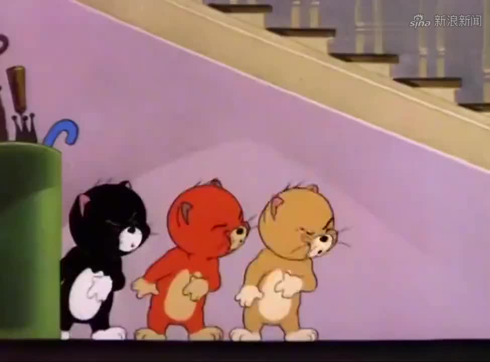 猫和老鼠:现在白老鼠可是危险物种,汤姆都不敢打他了,好危险