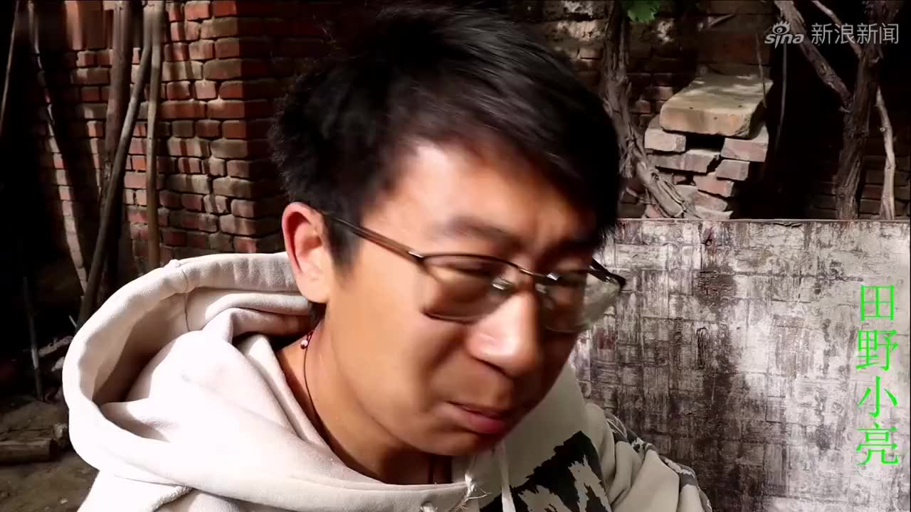 花脸卡在狗笼的缝里出不来了,金毛却在一边说风凉话,小亮急坏了