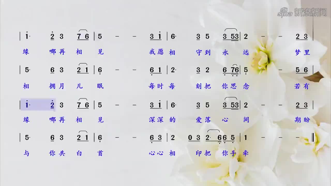 相逢不易,有缘珍惜,经典金曲《若有缘再相见》简谱领唱练习!