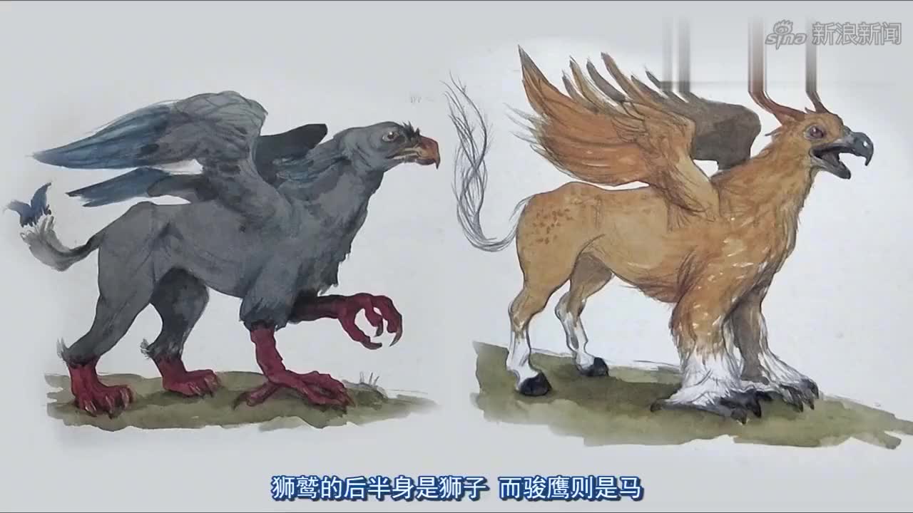 【神话动物】骏鹰和狮鹫有什么不同?