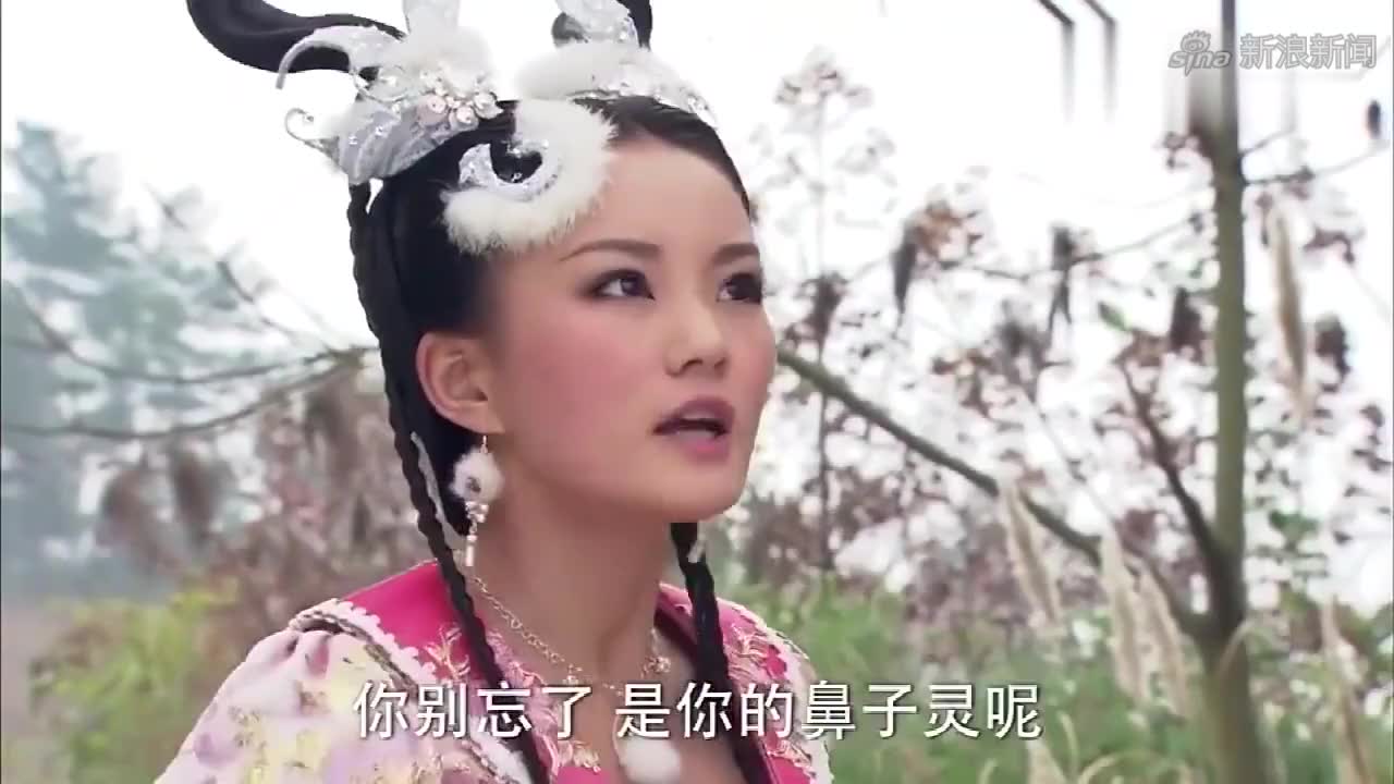 活佛济公:陈亮失误伤害白灵,还说替天行道,没想到结局是这样的