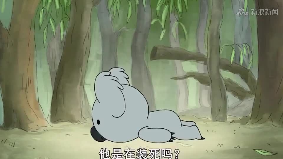 考拉大摇大摆地走近超市,下一秒举动成精了