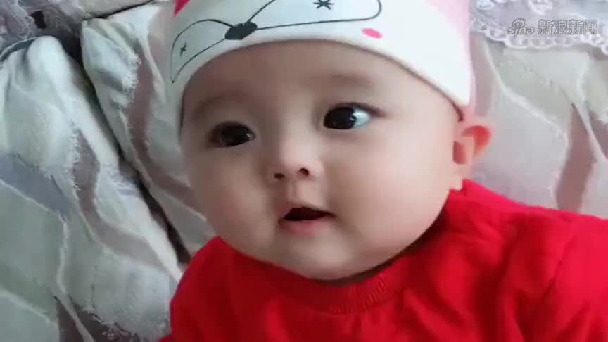 这个小宝贝火了,胖嘟嘟的脸蛋,活泼好动!