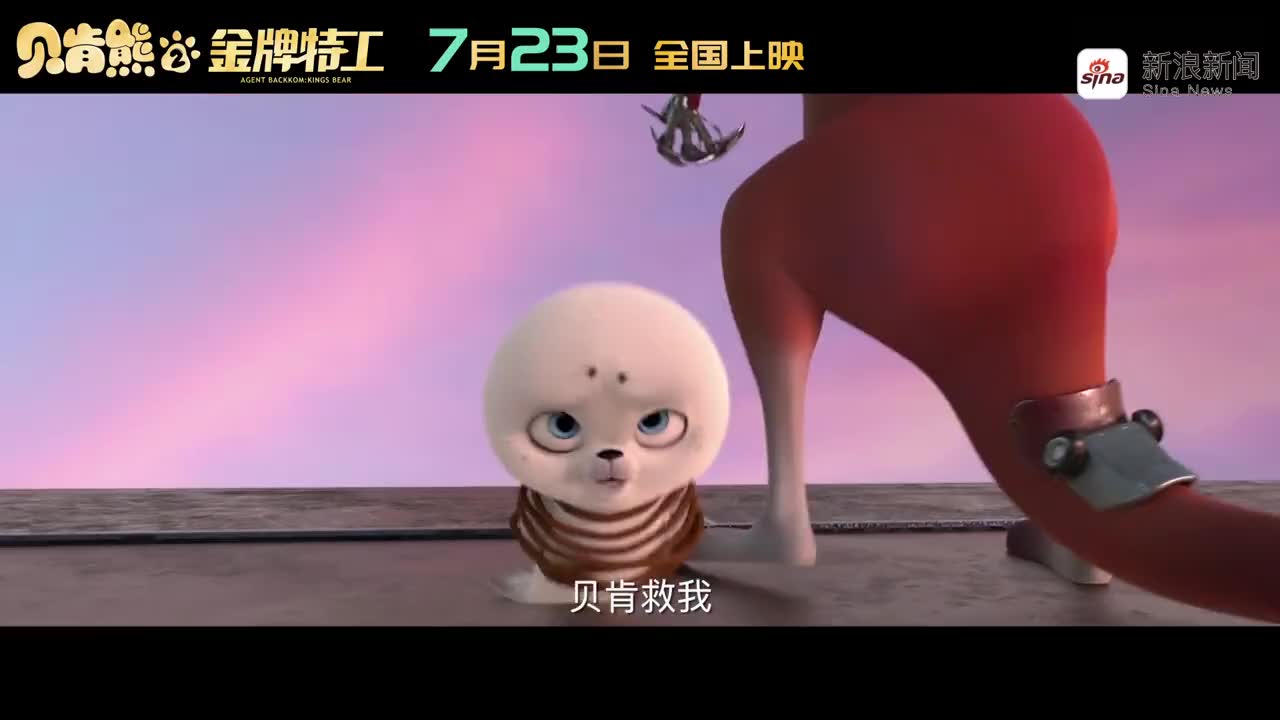 圣劳伦斯海湾,一只竖琴海豹幼崽正试图爬上一块融化的浮冰