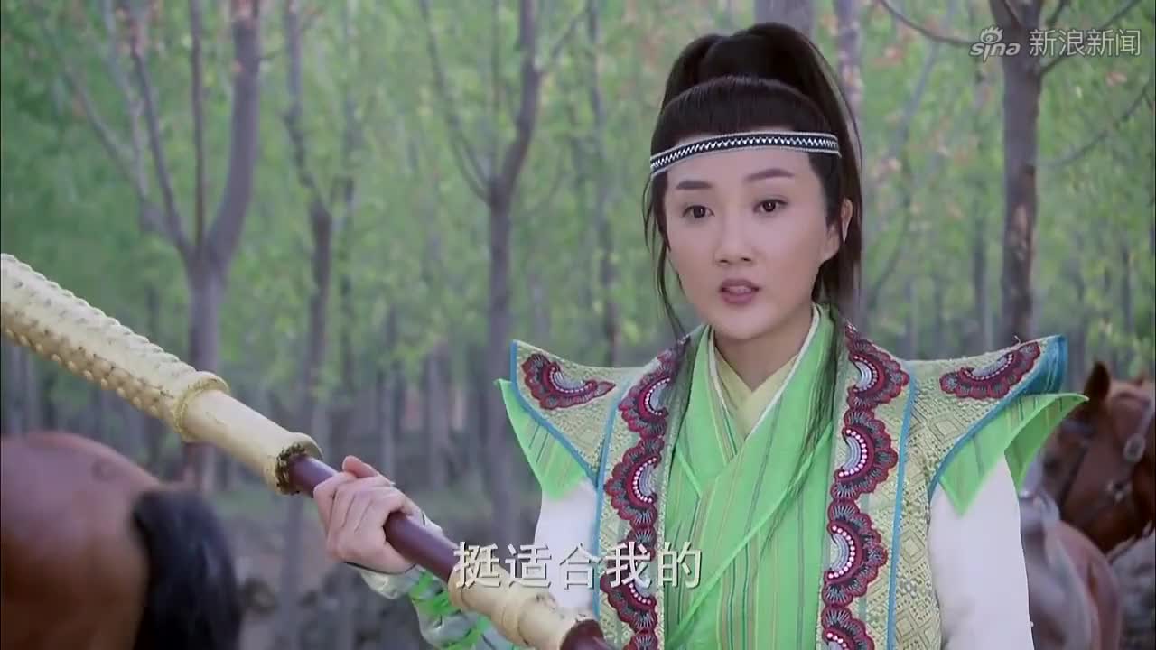古装:薛葵暴揍御林军,阴差阳错缴获一件兵器,起名叫玄金棍