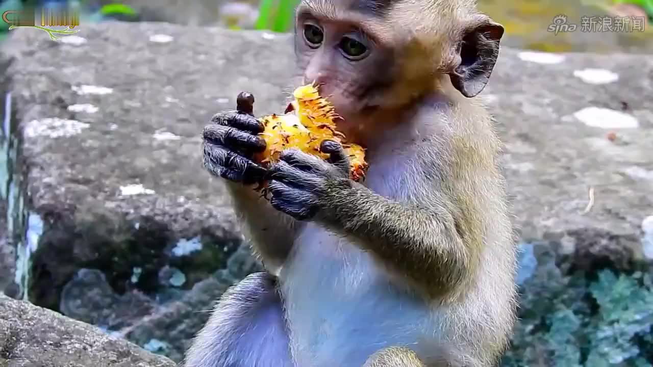 爱玉给乐童买饼干,爱玉觉得乐童瞧不起自己买的饼干