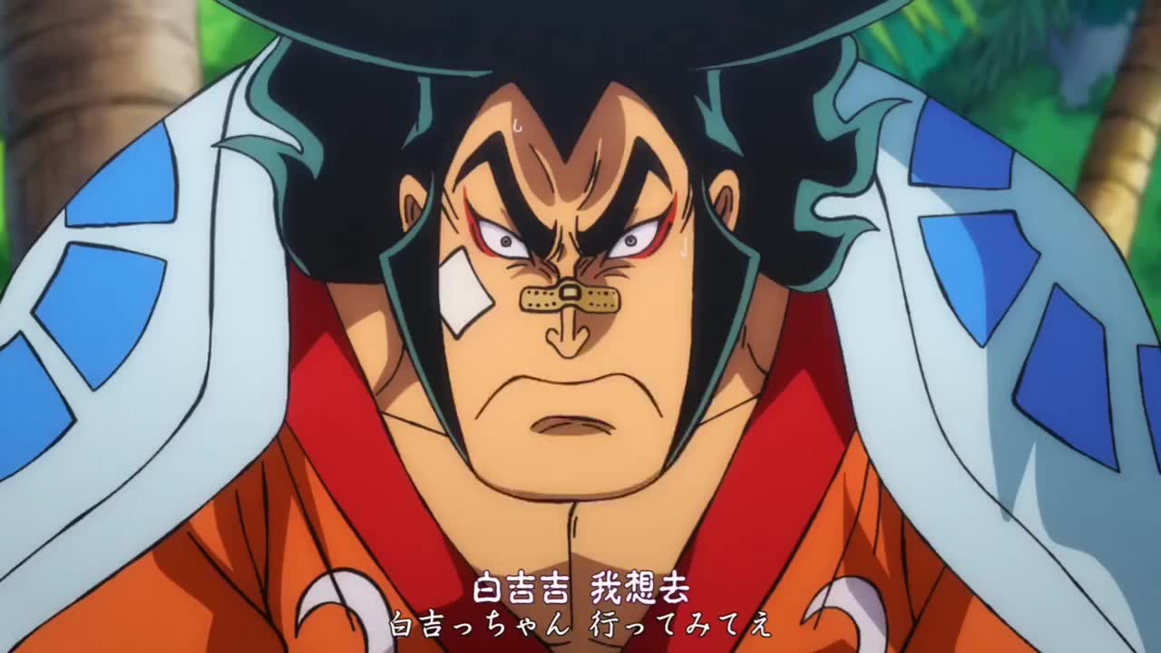 海贼王:御田流樱真的帅