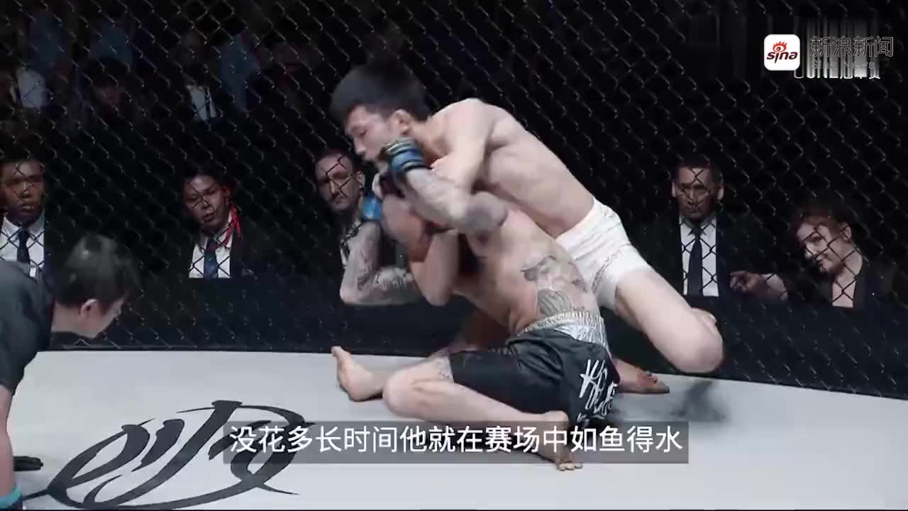 播求与女拳手踢树对比,事实证明怒吼加助攻