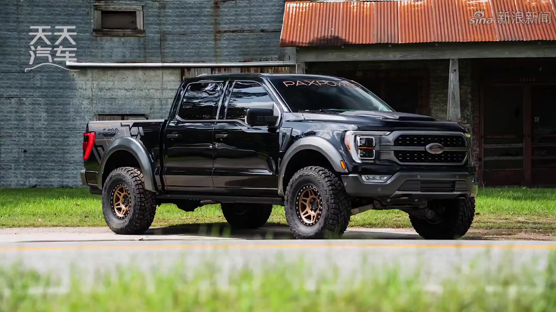 安第斯神鹰:体型最大的猛禽,飞越高空,却从不扇翅膀