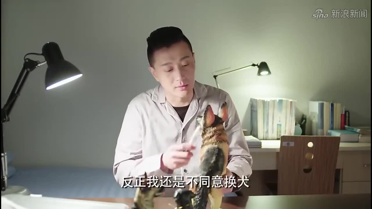警花警犬:金昌俊混园旅游的队伍里,而且他已通过整容改换了容貌
