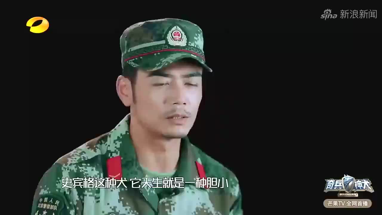 奇兵神犬:警犬阿贝吃饱自己回家,营养师沙溢:饿了再过来啊!