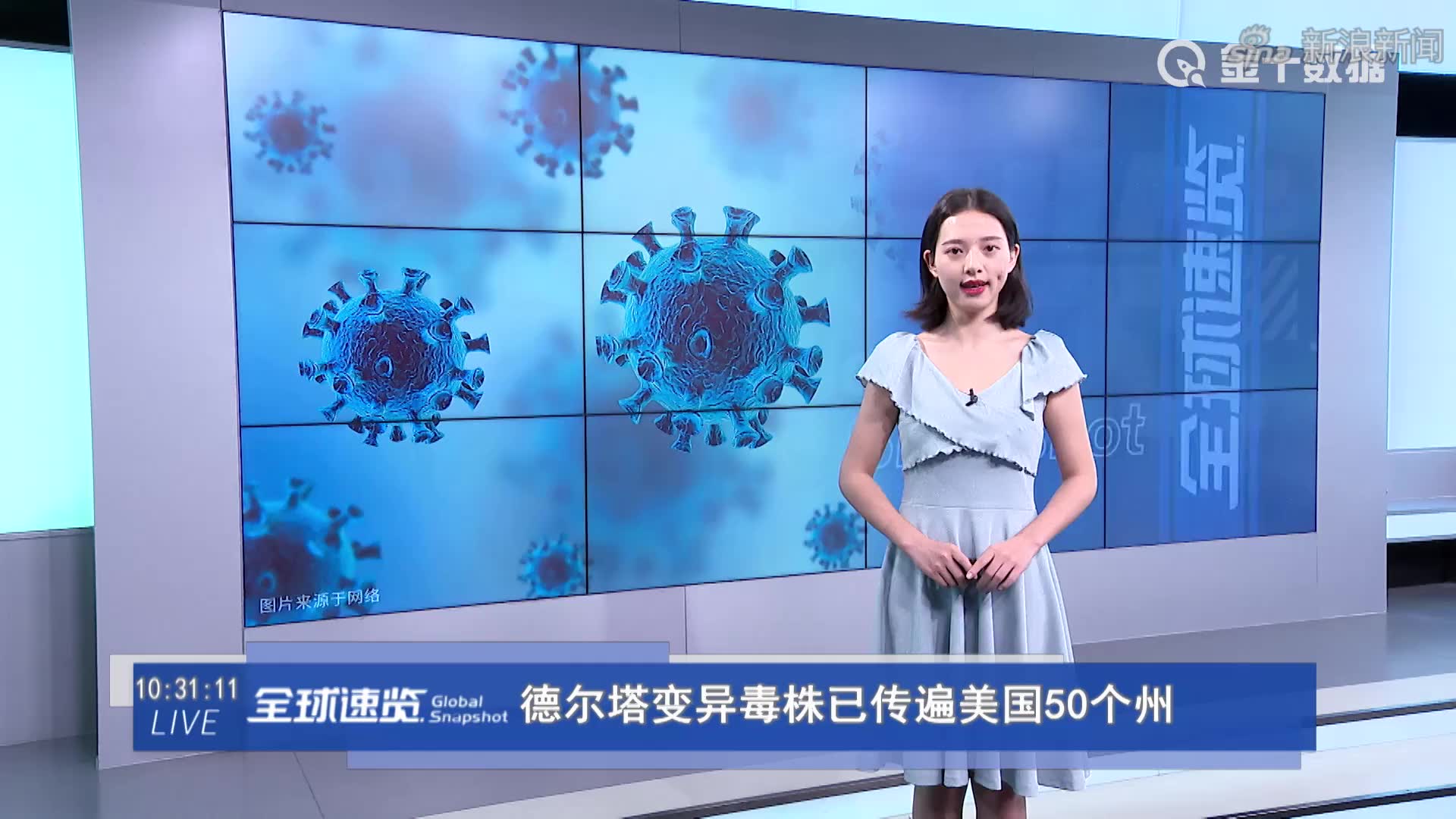 美国查询庭审案件的网站_美国庭审公开网