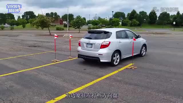 小伙在某小区,上演"教科书式"倒车入库,一看就是新手啊!