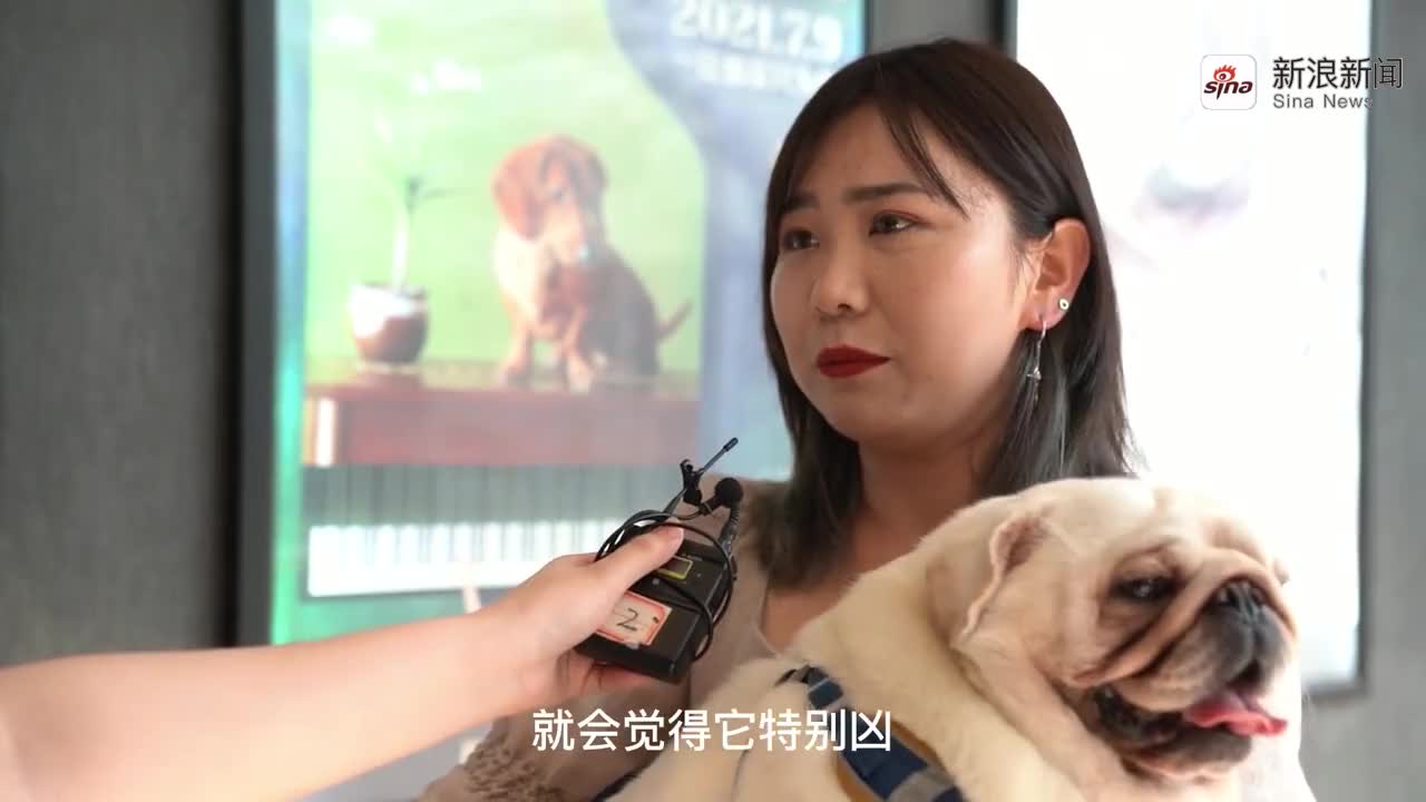 侠客小耶:小耶找出真相,用红尘照片网恋的,竟是自己的妹妹!