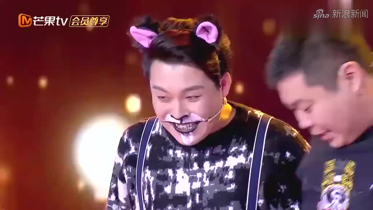 宠物猫跟宠物狗在家是咋相处的郭德纲都乐成眯眯眼丨笑傲4