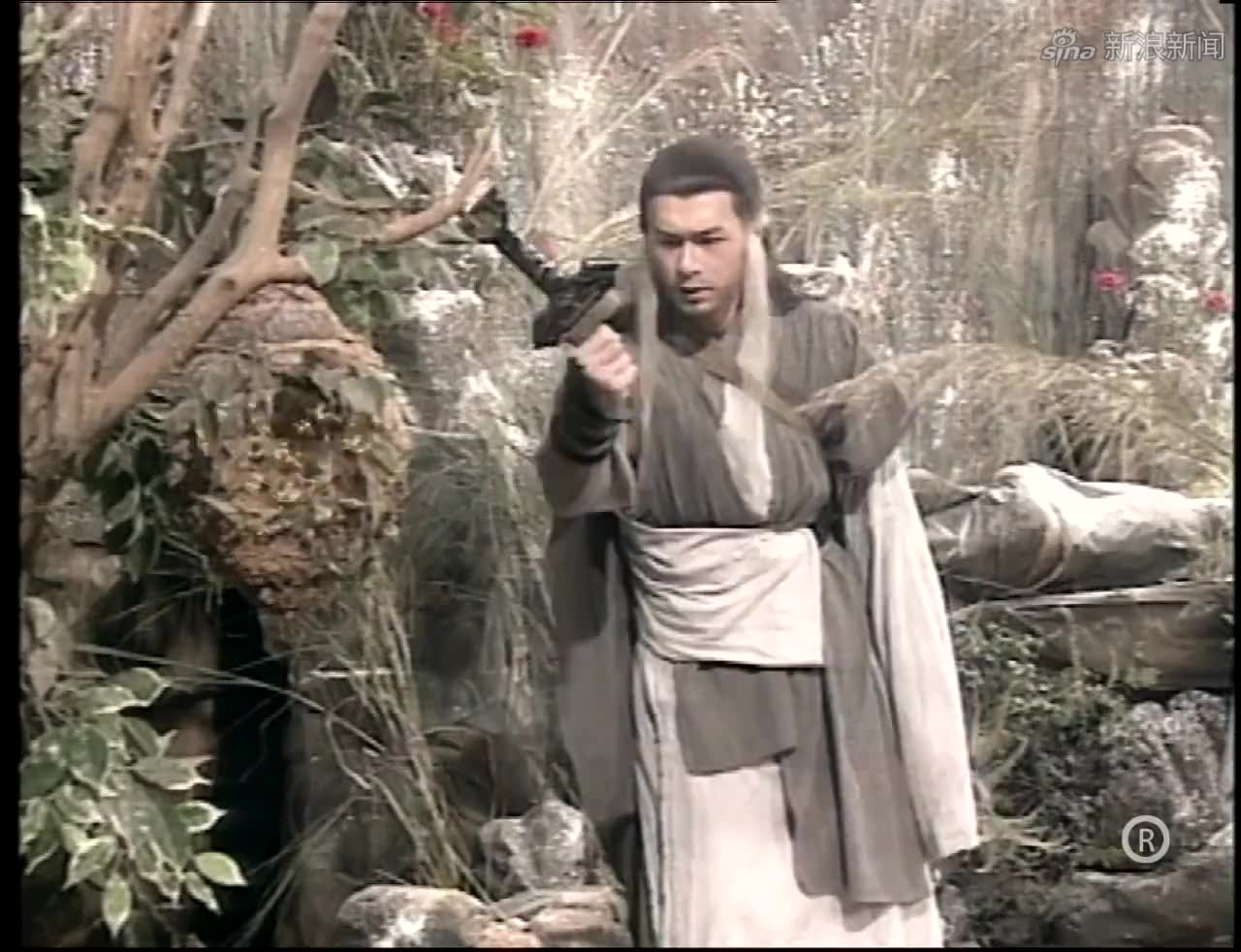 杨过绝情谷底发现蜜蜂,恍然大悟,原来龙儿还活着!