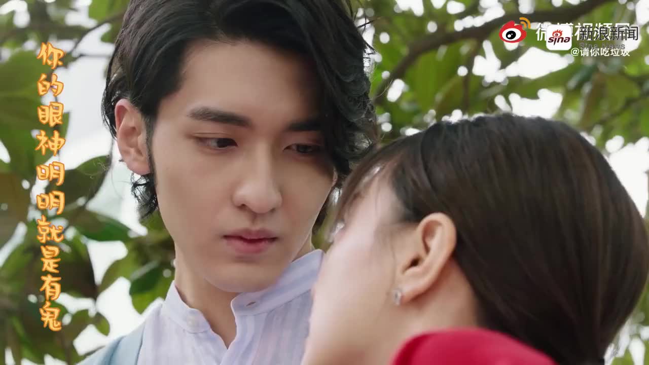 杨玏 张雪迎 张超 米露 讲述项语秋与连心长达十年的感情羁绊