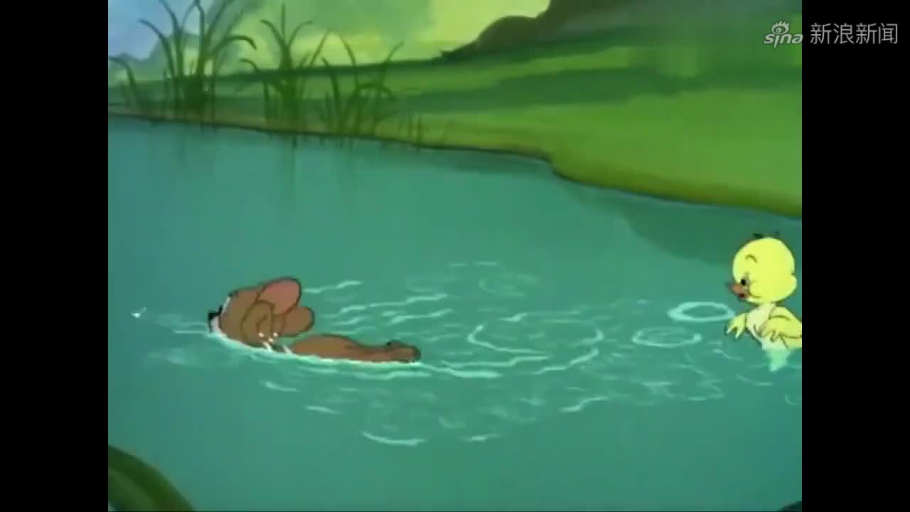 猫和老鼠:鸭宝宝都出生了,还剩最后一只,妈妈要带大家去游泳啦