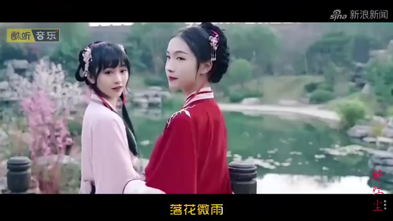 魏新雨《醉红尘》dj何鹏版