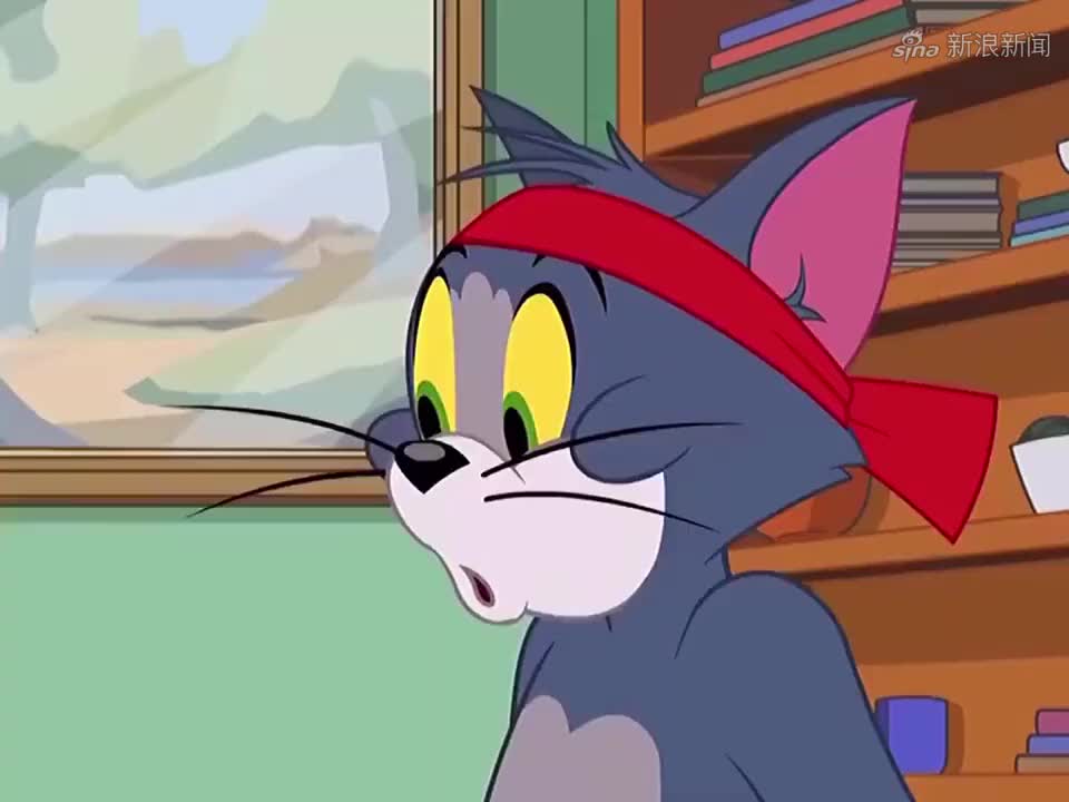 猫和老鼠:"一味的忍让和迁就,这种爱情绝不会长久"